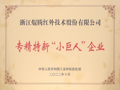国家级专精特新“小巨人”企业